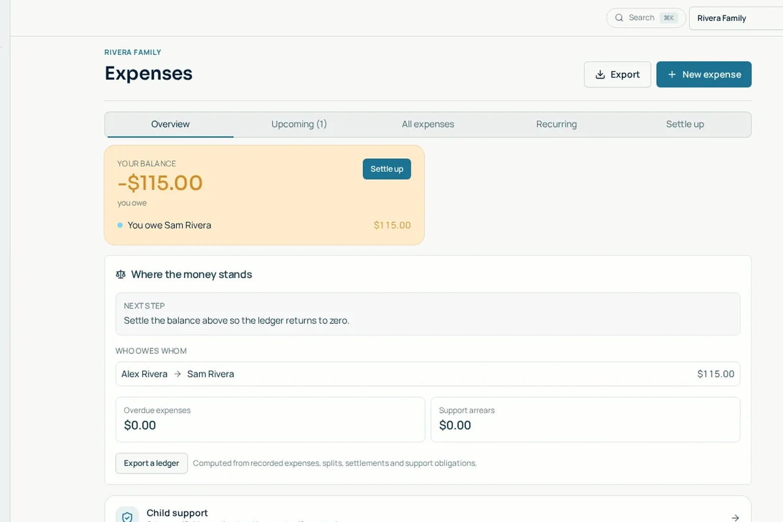 Expense split list with balance pill
